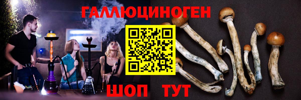 Бузулук  Псилоцибиновые грибы прущие грибы  Вход с VPN 