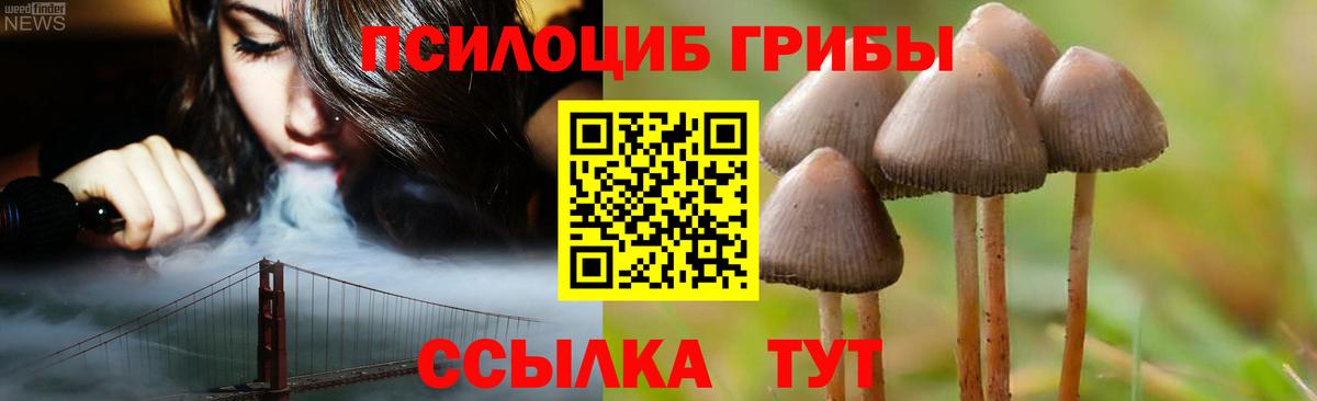 Псилоцибиновые грибы GOLDEN TEACHER Бузулук